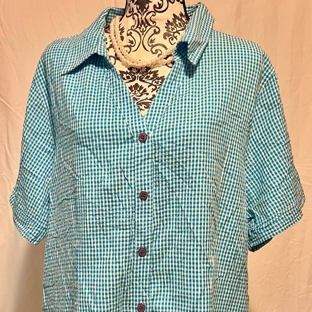 White stag aqua gingham, button down.  Size 22W/24W